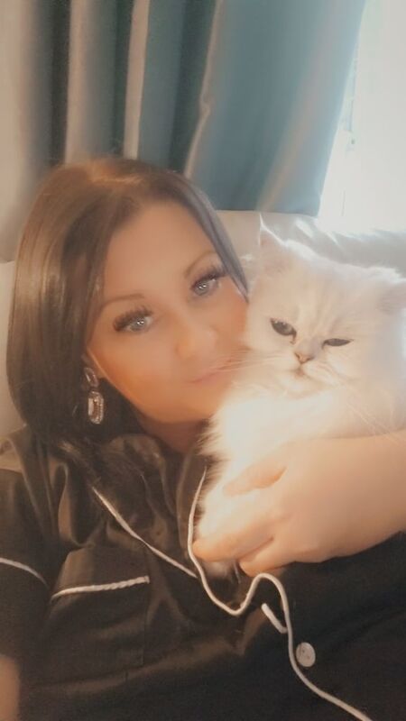 Persian kittens for sale in Seaham, Durham – 4 years old